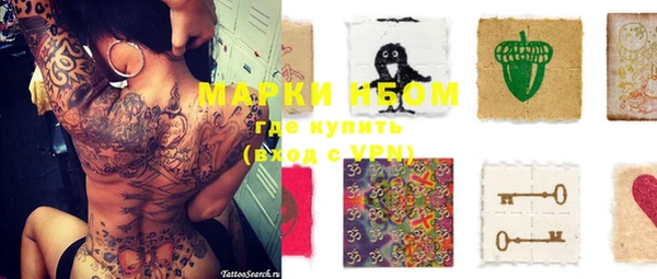 индика Тавда