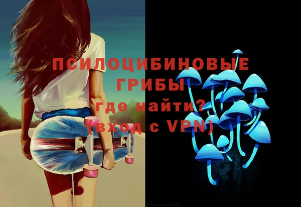 соль ск Балахна