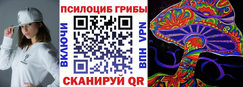 наркотики Вольск mega зеркало Псилоцибиновые грибы Psilocybine cubensis